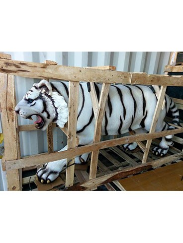 extra large animals white tiger