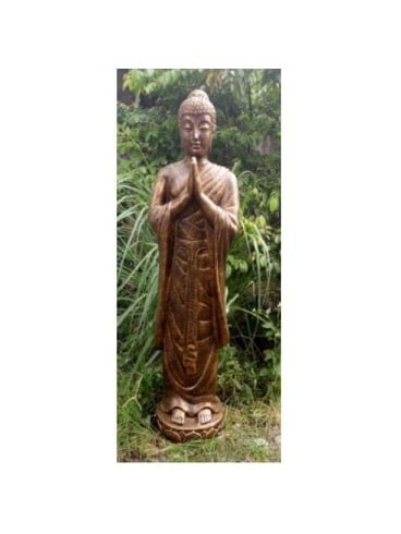 standing buddha sri lanka