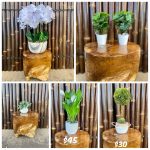 small indoor flower pots