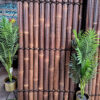 bamboo panels img2