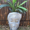 African Lady Face Planter blue grey