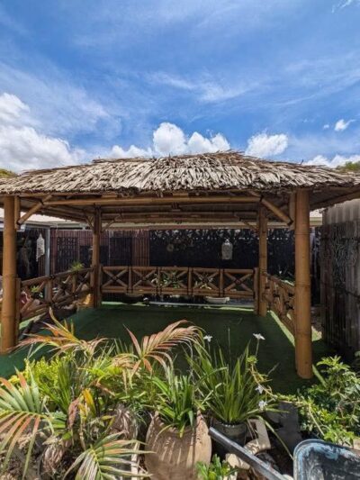 bali huts