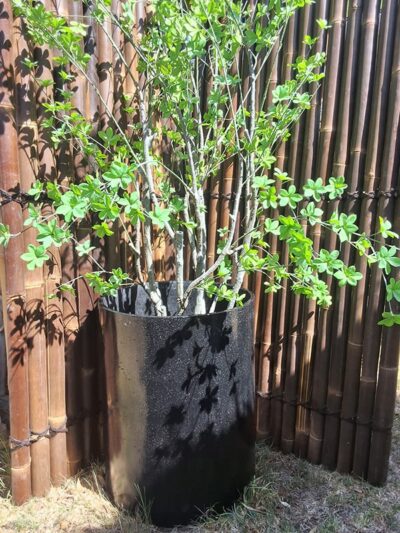Cylinder Shape Terrazzo Pot