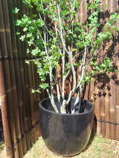 Egg Shape Terrazzo Pot Black