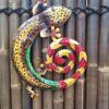 Geko Brown / Yellow