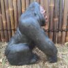 Gorilla Statue 4 min