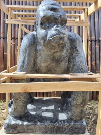 Gorilla