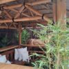pergola