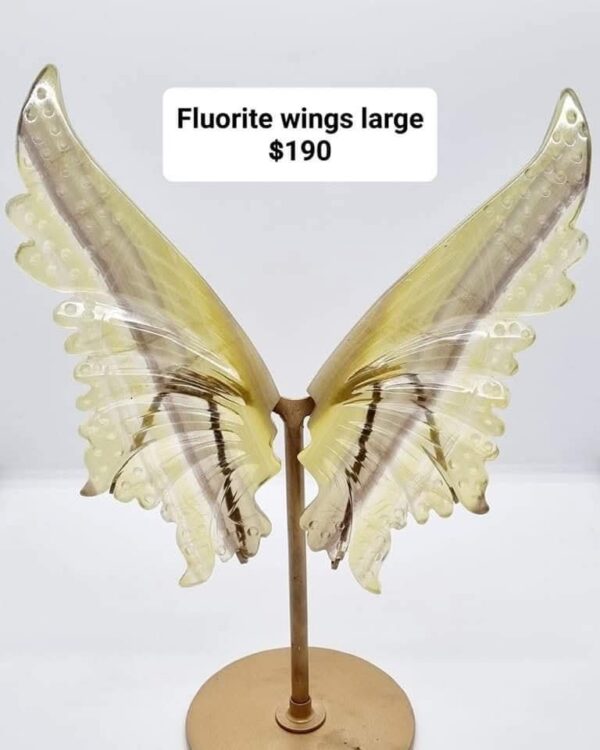 Fluorite wings large