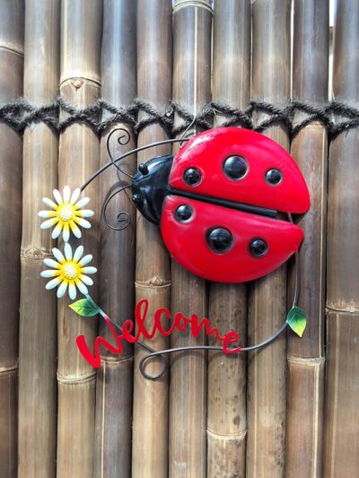 Lady Bug Welcome (Daisy Flowers)