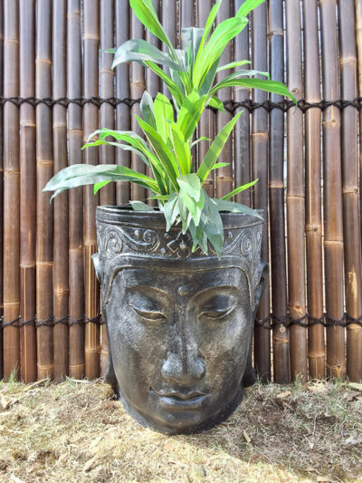 Large Half Buddha Face Planter