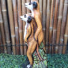 Meerkat Group 1