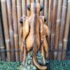 Meerkat Group2