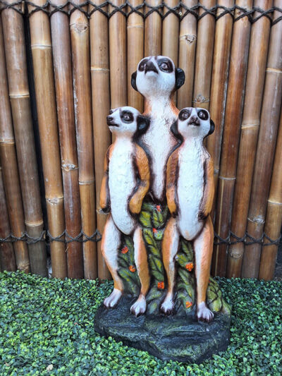 Meerkat Group