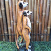 Meerkat Group4