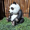 Panda bear sitting12 min