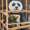 Pandas Bear Sitting with Bamboo Statue3 min