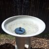 Round Shape Terrazzo Bird Bath2 White