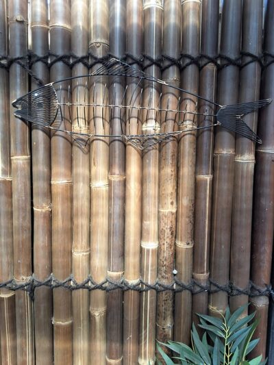 Sardine Fish
