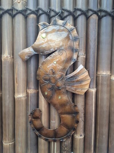 Seahorse (medium) Brown