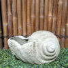 Small Keong Shell Planter1
