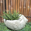 Small Keong Shell Planter