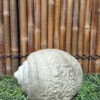 a stone on the grass