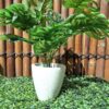 Cone Shape Terrazzo Pot