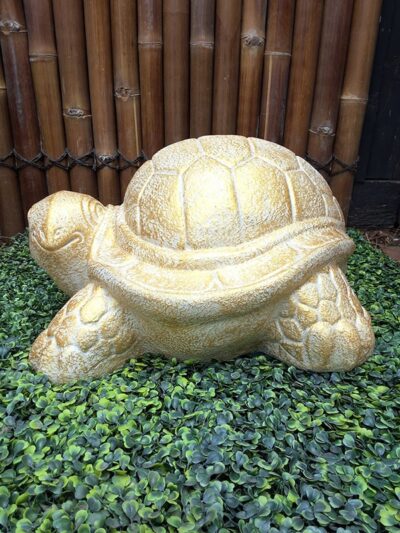 Turtle Statue
