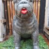 Bulldog Statue