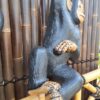 chimp3 min
