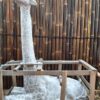giraffe statue