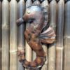 seahorse small brown