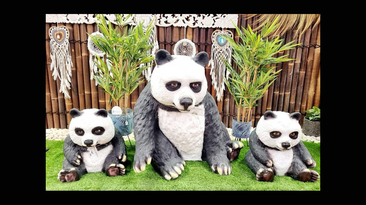 slider1 img14
