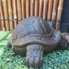 turtlr statue brownimg1 min